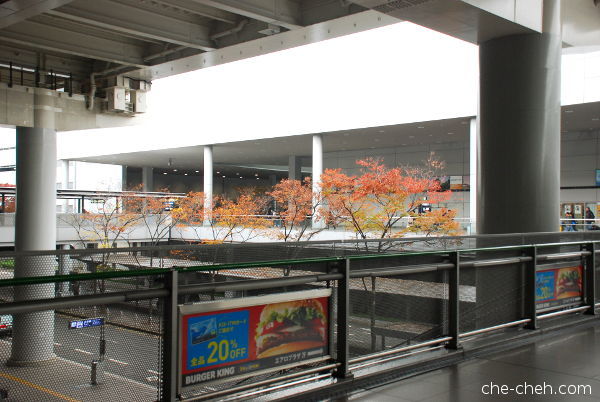 First View Of Maple Leaves Seen At Kansai Airport Station